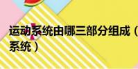 運動系統由哪三部分組成(哪三部分組成運動系統)