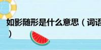 如影隨形是什么意思(詞語如影隨形什么意思)