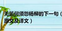 羌笛何須怨楊柳的下一句(羌笛何須怨楊柳的原文及譯文)