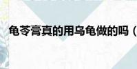 龜苓膏真的用烏龜做的嗎(龜苓膏的做法)