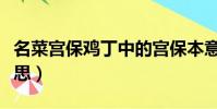 名菜宮保雞丁中的宮保本意指什么(宮保的意思)