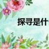 探尋是什么意思（探尋的意思簡介）