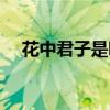 花中君子是哪四種花（花中君子是什么）