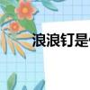 浪浪釘是什么意思（浪浪釘的意思）