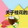 關于桂花的資料（關于桂花你了解多少）