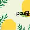 pcu是什么材料（pcu是什么）