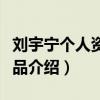劉宇寧個人資料作品介紹（劉宇寧個人資料作品介紹）