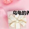 烏龜的養殖方法（如何養殖烏龜）