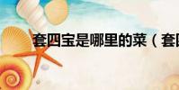 套四寶是哪里的菜(套四寶的簡介)