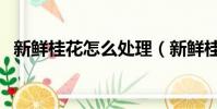 新鮮桂花怎么處理(新鮮桂花該如何處理)