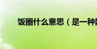 飯圈什么意思(是一種網絡用詞嗎)