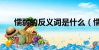 懦弱的反義詞是什么(懦弱怎么造句)