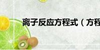 離子反應方程式(方程式是什么)