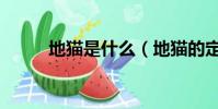 地貓是什么(地貓的定義是什么)