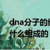 dna分子的結構是什么結構（DNA分子是由什么組成的）