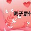 鴨子是什么意思呀（鴨子的含義）