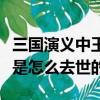 三國演義中王雙是怎么死的（三國演義中王雙是怎么去世的）