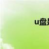 u盤是什么（有哪些用處）