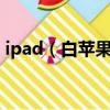 ipad（白蘋果怎么辦 ipad 白蘋果處理方法）