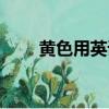 黃色用英語怎么說（黃色英語解釋）