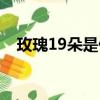玫瑰19朵是什么意思（玫瑰19朵的含義）