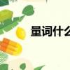 量詞什么意思（量詞是什么意思）