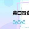 黃曲霉素是什么（黃曲霉素介紹）
