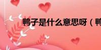 鴨子是什么意思呀(鴨子的含義)