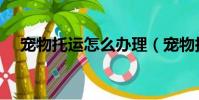 寵物托運怎么辦理(寵物托運辦理方式)