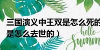 三國演義中王雙是怎么死的(三國演義中王雙是怎么去世的)