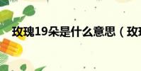 玫瑰19朵是什么意思(玫瑰19朵的含義)