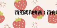 笛組詞和拼音(笛有哪些詞語)