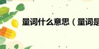 量詞什么意思(量詞是什么意思)