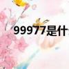 99977是什么意思（99977的意思介紹）