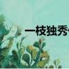一枝獨秀什么意思（一枝獨秀解釋）
