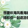 想要吹海風看海鷗和你一起遨游是什么歌（想要吹海風看海鷗和你一起遨游是哪首歌）