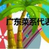廣東菜系代表菜（廣東菜系的代表菜介紹）