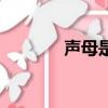 聲母是什么（聲母專業解釋）