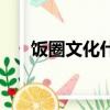 飯圈文化什么意思（飯圈文化的意思）