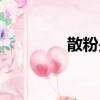 散粉是什么（散粉的解釋）