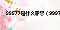99977是什么意思(99977的意思介紹)