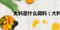 大料是什么調料(大料是指什么)