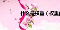 什么是權重(權重的意思)