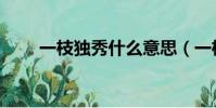 一枝獨秀什么意思(一枝獨秀解釋)