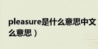 pleasure是什么意思中文(英語pleasure什么意思)