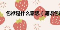包袱是什么意思(詞語包袱是什么意思)