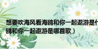 想要吹海風看海鷗和你一起遨游是什么歌(想要吹海風看海鷗和你一起遨游是哪首歌)