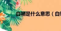 白翎是什么意思(白翎的意思)