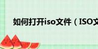 如何打開iso文件(ISO文件怎么打開)