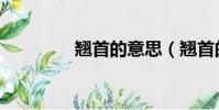翹首的意思(翹首的解釋)